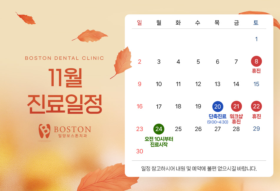 11월진료일정